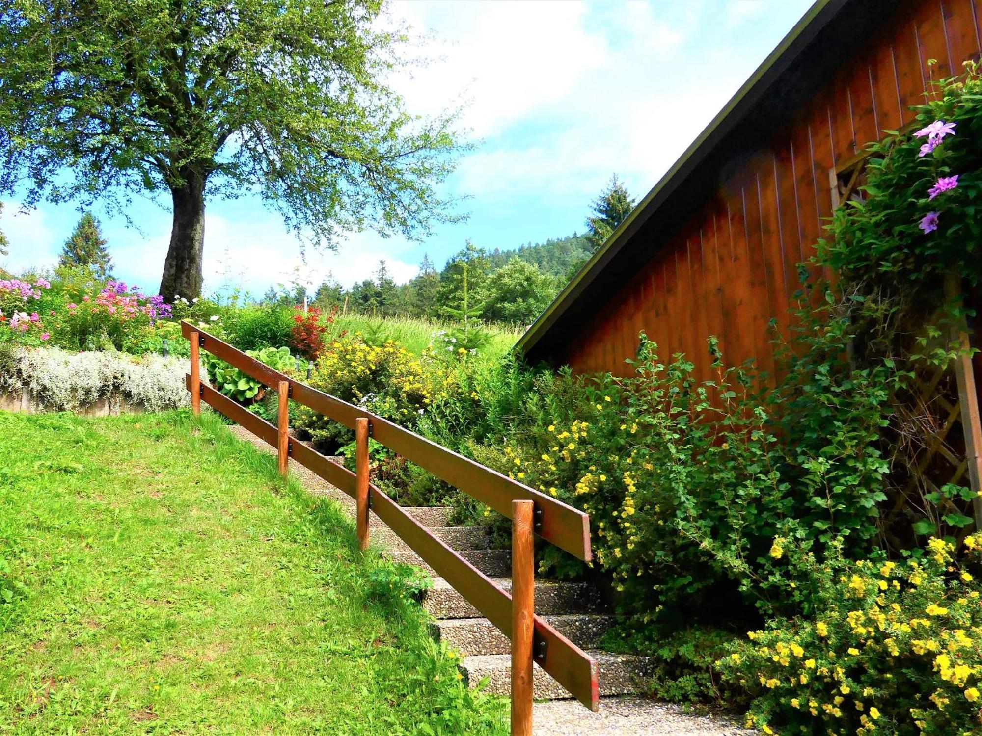 Untermetzgersbauernhof Apartamento Alpirsbach Exterior foto